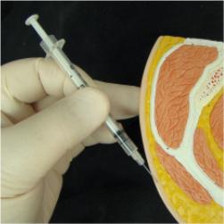 Proper angle and depth for an intradermal (ID) injection.