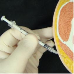 subcutaneous injection on a model
