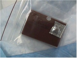chocolate agar plate