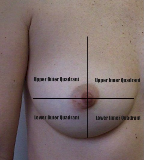 Girls Breast Development Stages Photography