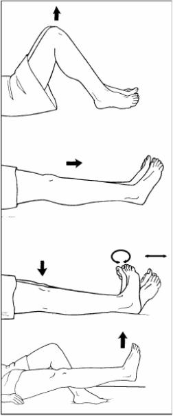 Pictures Of Lower Extremity Exercises