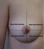 4 quadrants of the breast