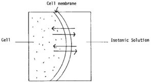 Figure 2-6. Isotonic Solution