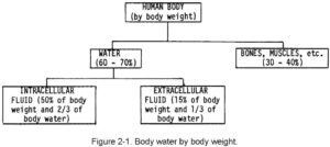 Figure 2-1. Body water by body weight
