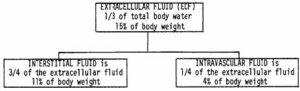 Figure 2-2. Extracellular fluid distribution.