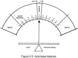 Figure 2-3. Acid-base balnce