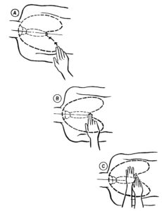 Figure 4-2. Locating the compression site for chest compressions.