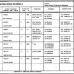 Figure 2-3. Operating Room Schedule.