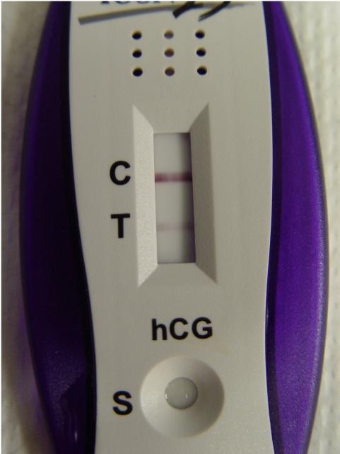 test pregnant not pregnancy positive Tests Pregnancy