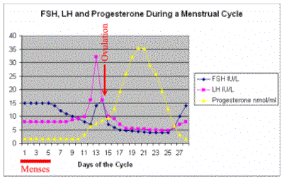 FSH, LH and Progesterone levels during the menstrual cycle
