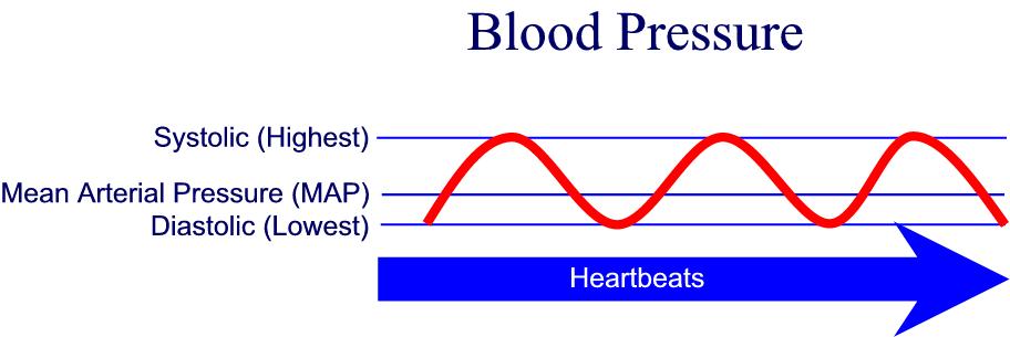 nursing-fundamentals-ii-multimedia-edition-vital-signs