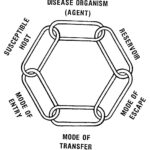 Figure 1-1. The cycle of infection.