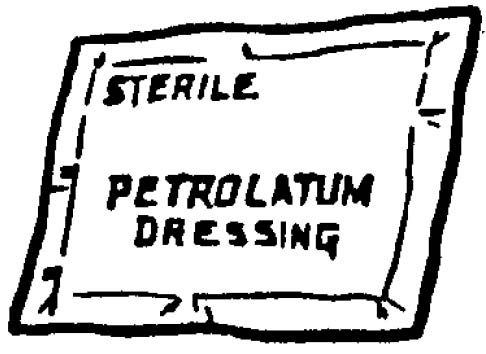 Lesson 4. Section 1. Changing A Sterile Dressing - Sterile Procedures