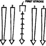 Figure 4-6. Linear wound.