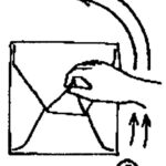 Figure 3-2. Distal flap.