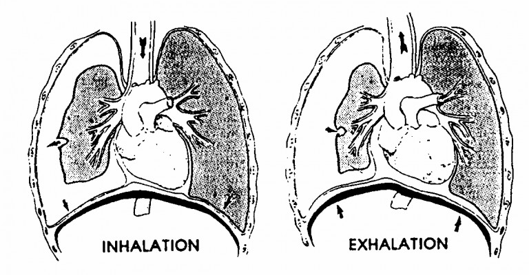 3-23. CHECK FOR TENSION PNEUMOTHORAX AND HEMOTHORAX | Tactical Combat ...