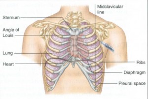 Figure 3-7. Needle position on the mid-clavicular line above the third rib.