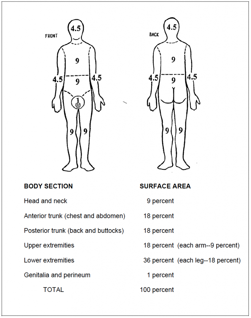 6-09. ESTIMATE THE PERCENT OF BODY SURFACE AREA BURNED - Tactical ...