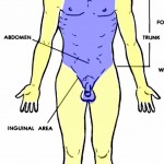 Images 01. Introduction and Terminology | Basic Human Anatomy