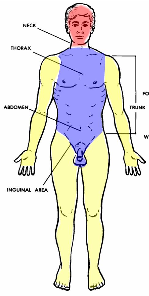 Images 01. Introduction and Terminology | Basic Human Anatomy