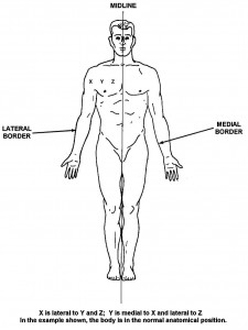 1-2 Anatomical Position