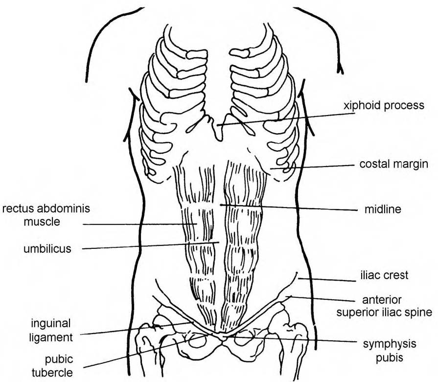 Images 06. Digestive System | Basic Human Anatomy