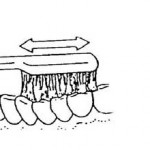 Figure 1-11. Cleaning the teeth.