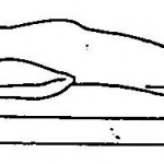 Figure 2-3. Prone position.