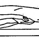 Figure 2-4. Supine position.