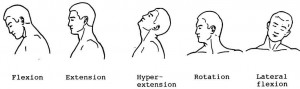 Figure 2-11. Range-of-motion exercises for the neck.