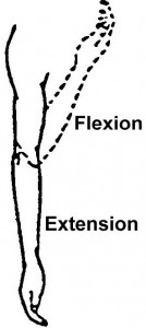 Figure 2-13. Range-of-motion exercises motion exercises for the elbow.