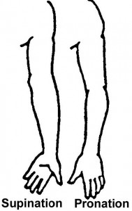 Figure 2-14. Range-of-motion exercises motion exercises for the forearm.