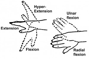 Figure 2-15. Range-of-motion exercises for the wrist.