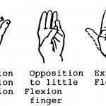 Figure 2-16. Range-of-motion exercises for the thumb.