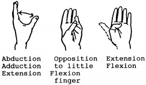 Figure 2-16. Range-of-motion exercises for the thumb.