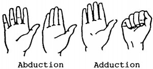 Figure 2-17. Range-of-motion exercises for the fingers.