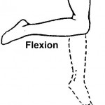 Figure 2-19. Range-of-motion exercises for the knee.