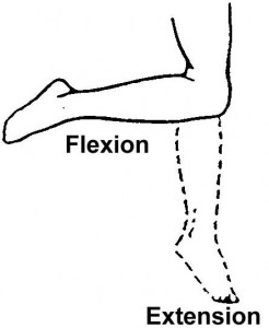 Figure 2-19. Range-of-motion exercises for the knee.