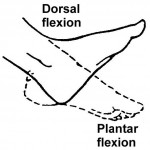 Figure 2-20. Range-of-motion exercises for motion exercises for the ankle.