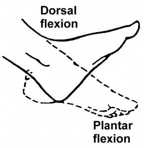 Figure 2-20. Range-of-motion exercises for motion exercises for the ankle.