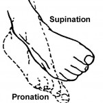 Figure 2-21. Range-of-motion exercises for the foot