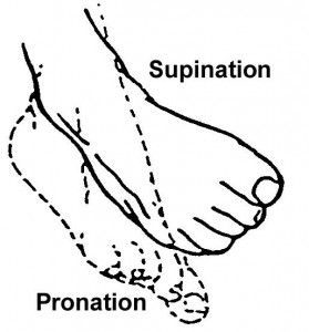 Figure 2-21. Range-of-motion exercises for the foot