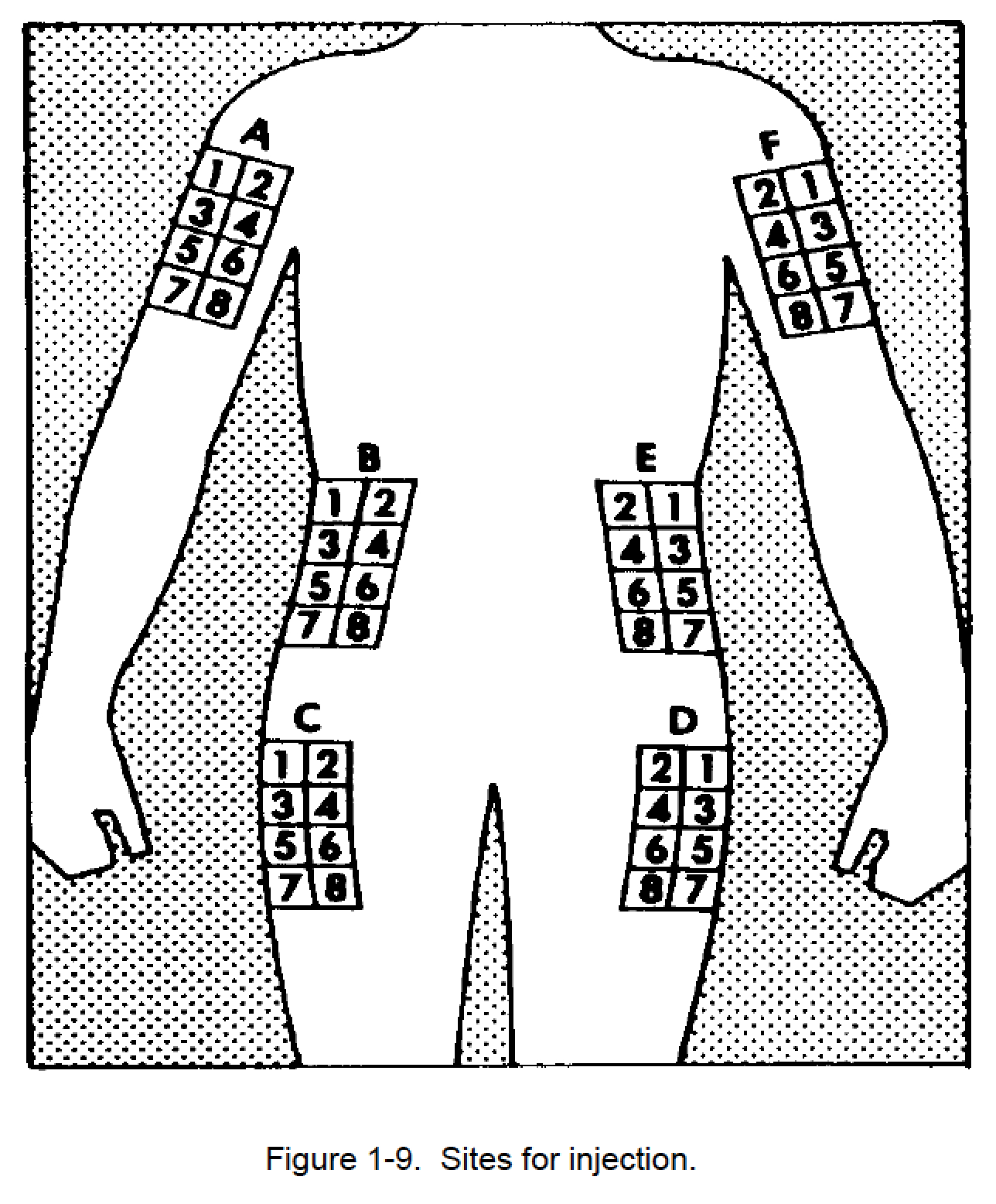 Chart For Insulin Injection Sites Printable Free Templates Chart For Insulin Injection Sites Printable Free Templates