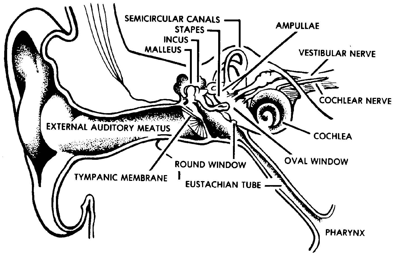 1-5. HEARING