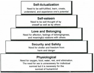 Figure 1-2. Maslow's hierarchy of needs.