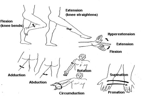 Types of motion