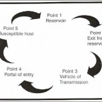 Figure 6-5 The Infectious Process Cycle