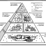 Food Guide Pyramid.