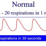 Graphic showing normal breathing.