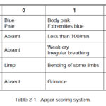 Table 2-1. Apgar scoring system.
